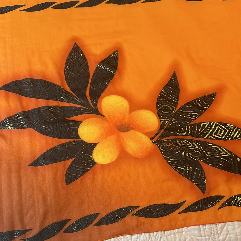 $5. YBL 67”x28” gorgeous scarf, gently used - Picture 2 of 4